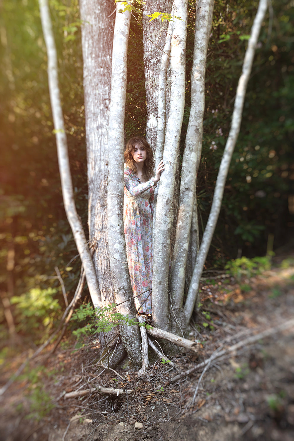 Sara in Birch Tree