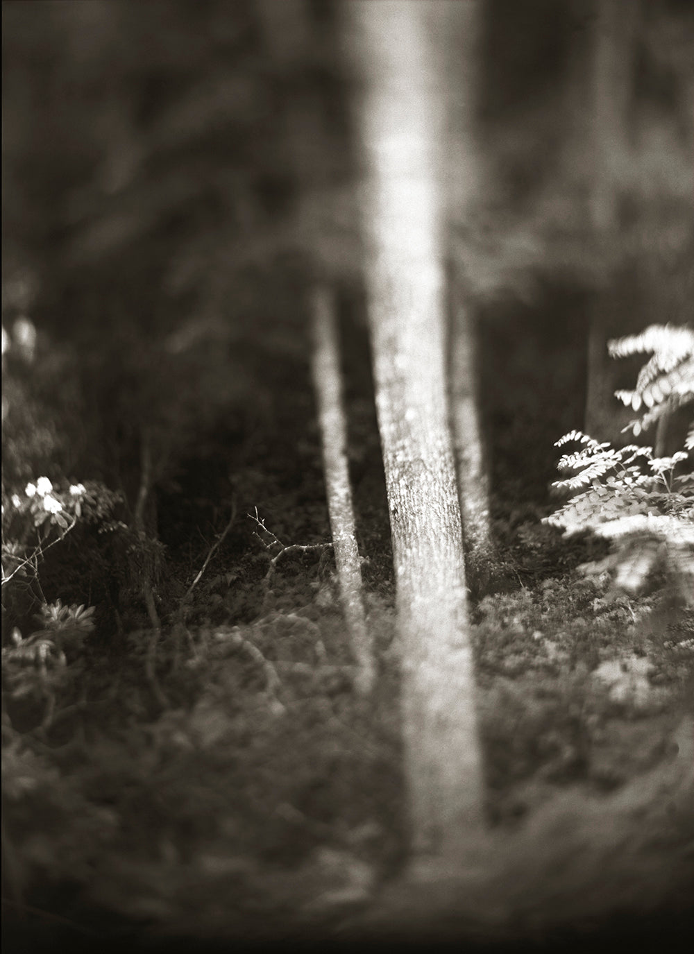 Silence